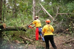 Helping Hands